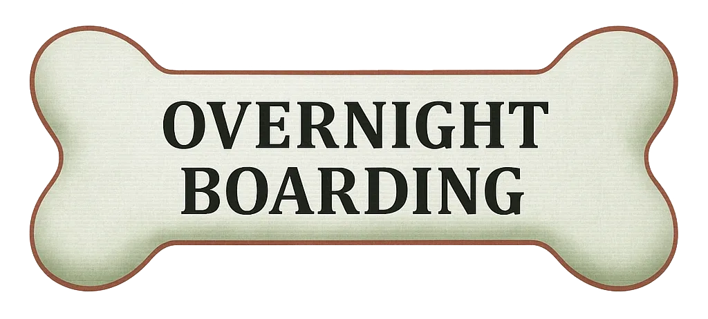 overnight dog boarding